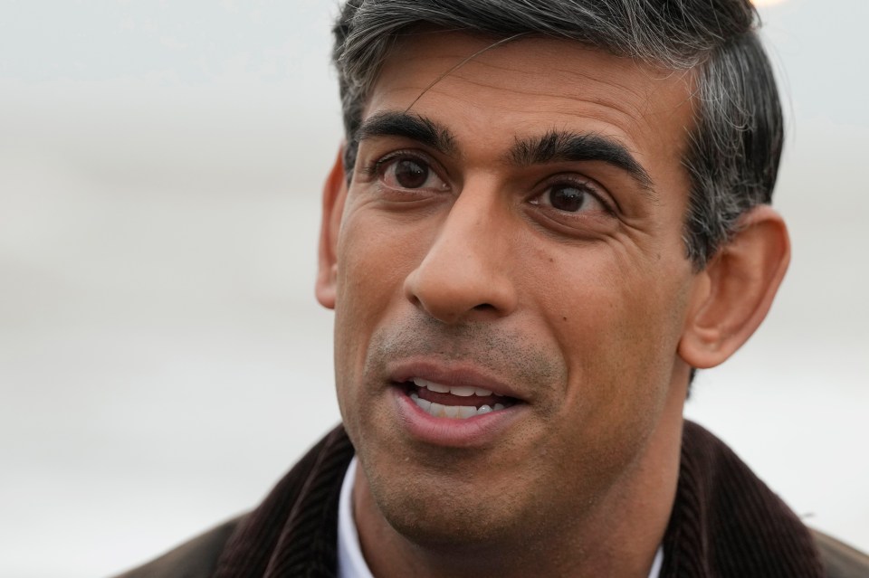 Despairing Tory MPs have revived their demands for major tax cuts after Rishi Sunak’s party suffered a double by-election thumping