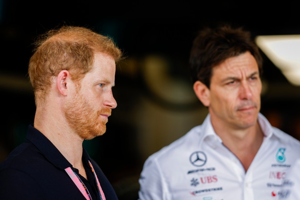 Harry with Mercedes boss Toto Wolff