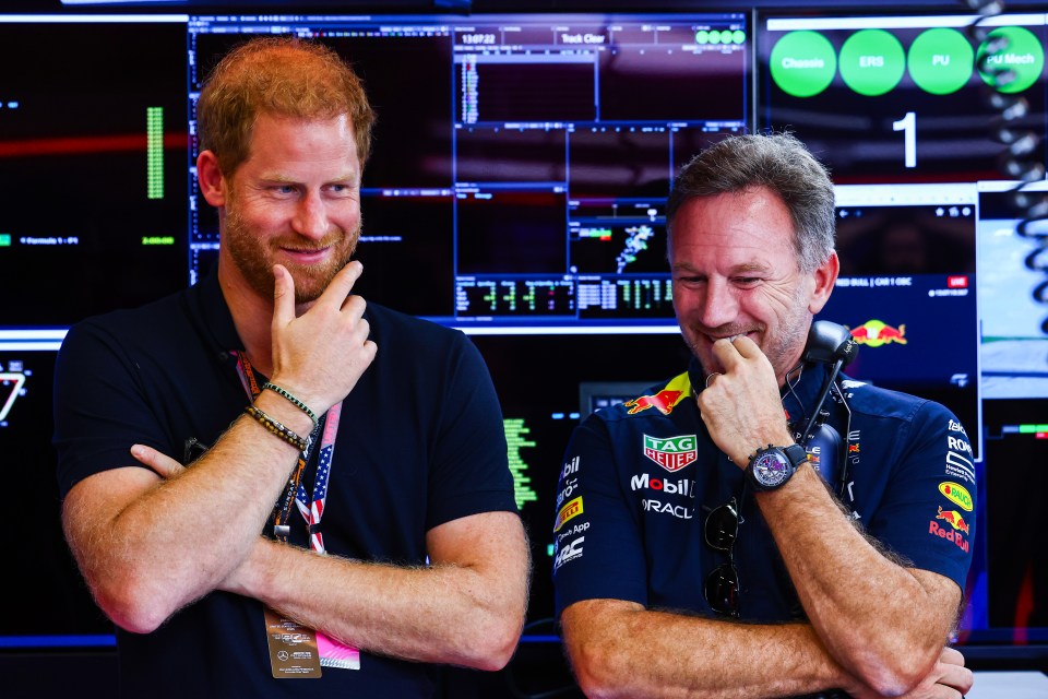 Harry chatted with Red Bull team boss Christian Horner