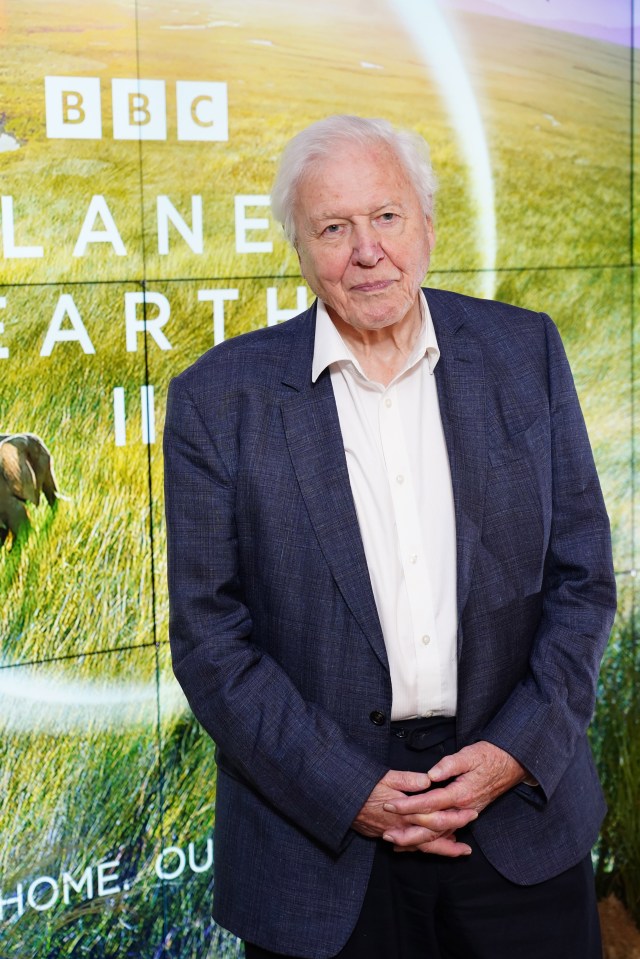 Sir David latest work Planet Earth III looks at the impact of the human race on the natural world