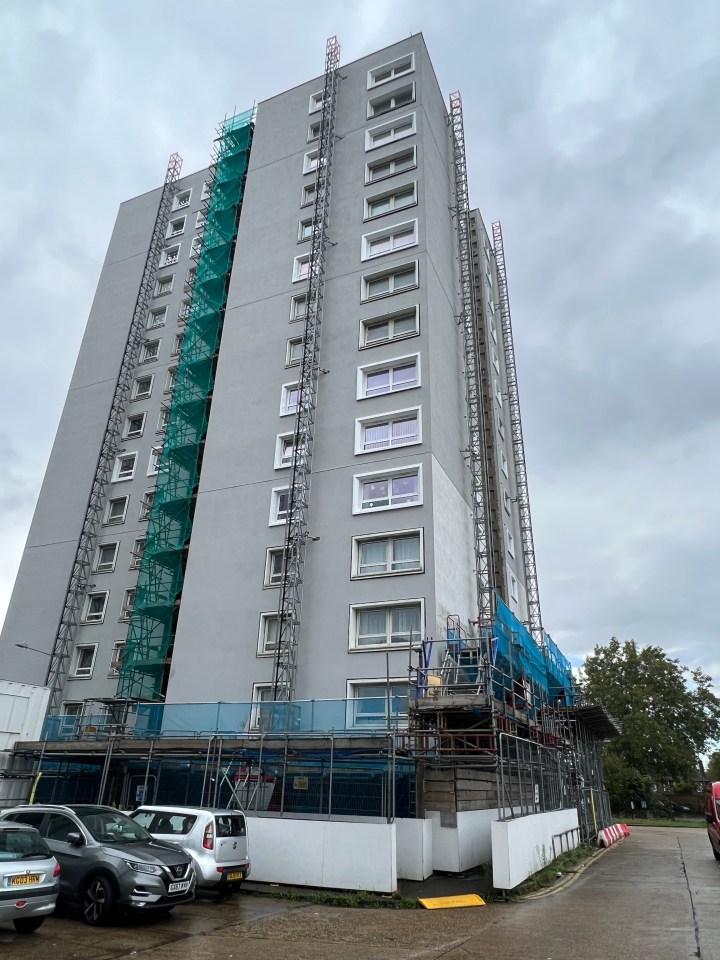 Six high-rise blocks on the estate in Essex have scaffolding