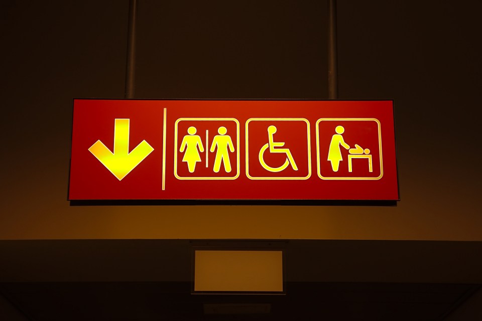 Using the first toilet in the airport could get passengers stuck in queues