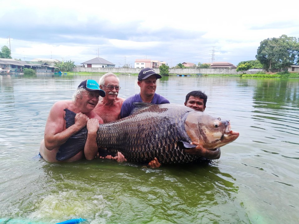 A Brit angler caught the world’s biggest carp on his stag do – weighing in at a whopping 252lbs