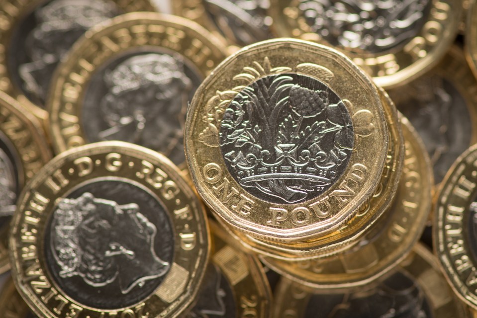 a one pound coin is surrounded by other coins