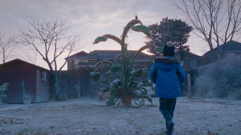 A tearjerker moment is when Snapper grows so big the family casts him out in the cold