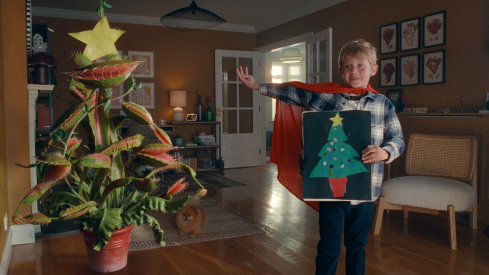 The little boy befriends the wannabee Christmas tree as they get involved in the festivities