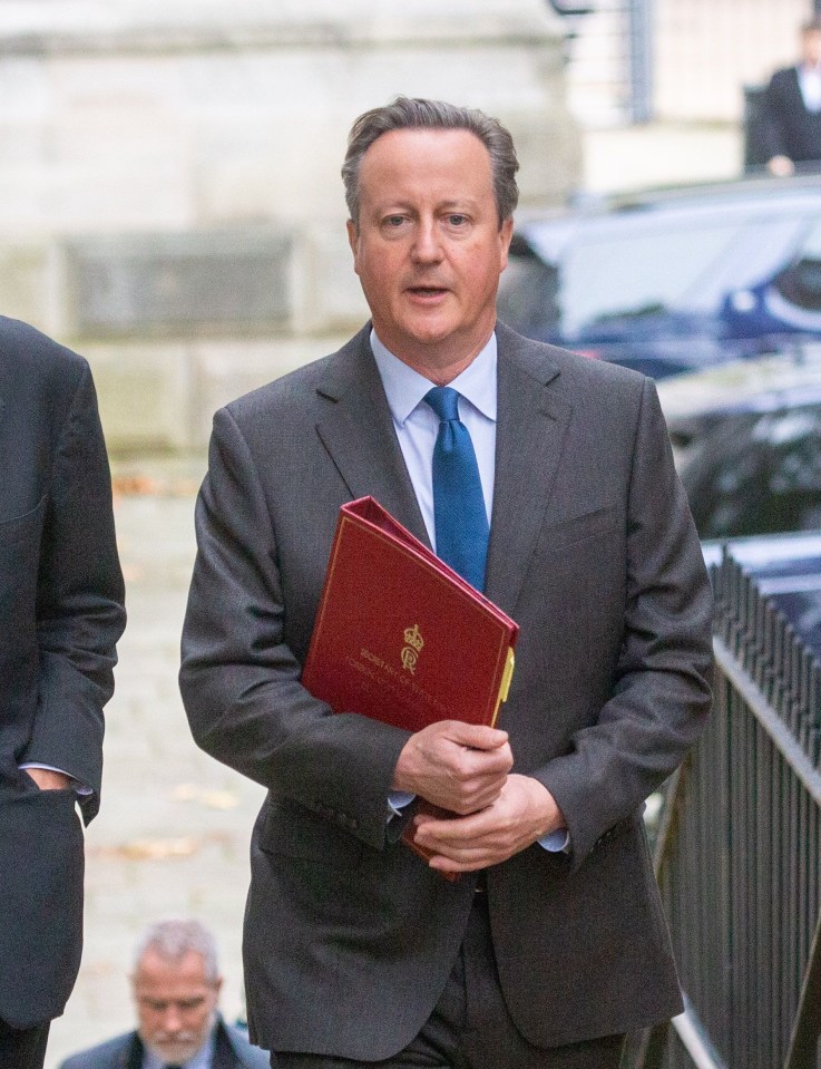 David Cameron was a wise appointment for Sunak's cabinet