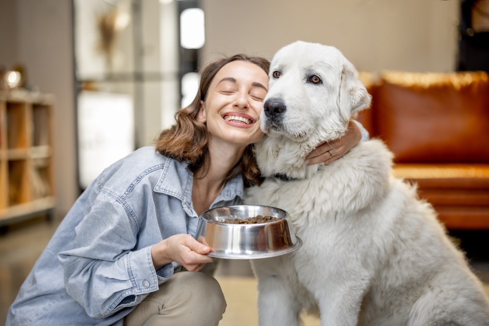 Try these ways to feed your pup well without breaking the bank