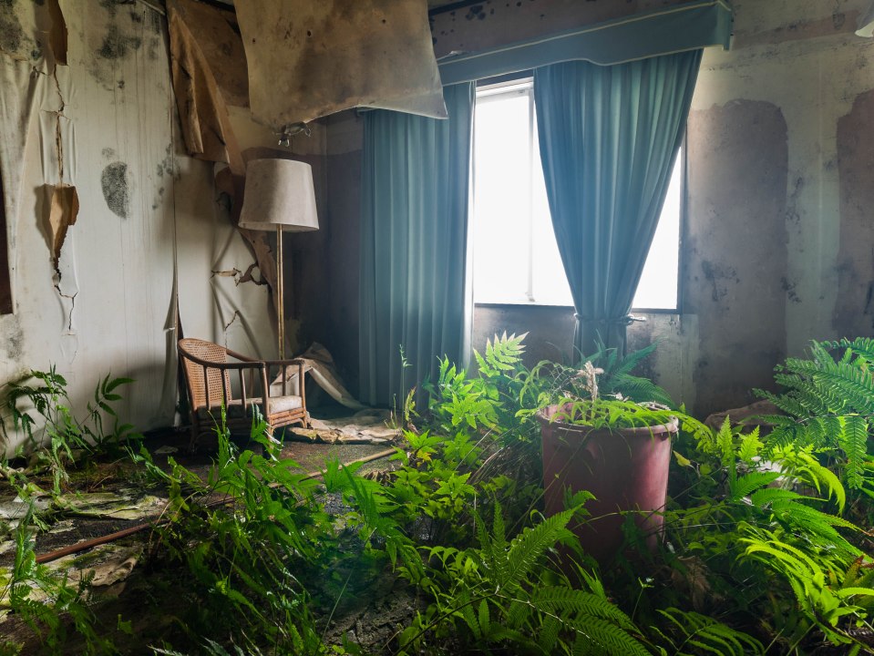 Rooms within the hotel are slowly becoming consumed by plants and grime