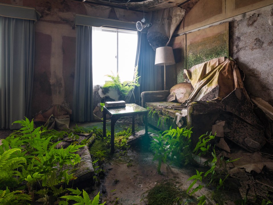 A room slowly being devoured by plants at the lavish Hachijo Royal Hotel