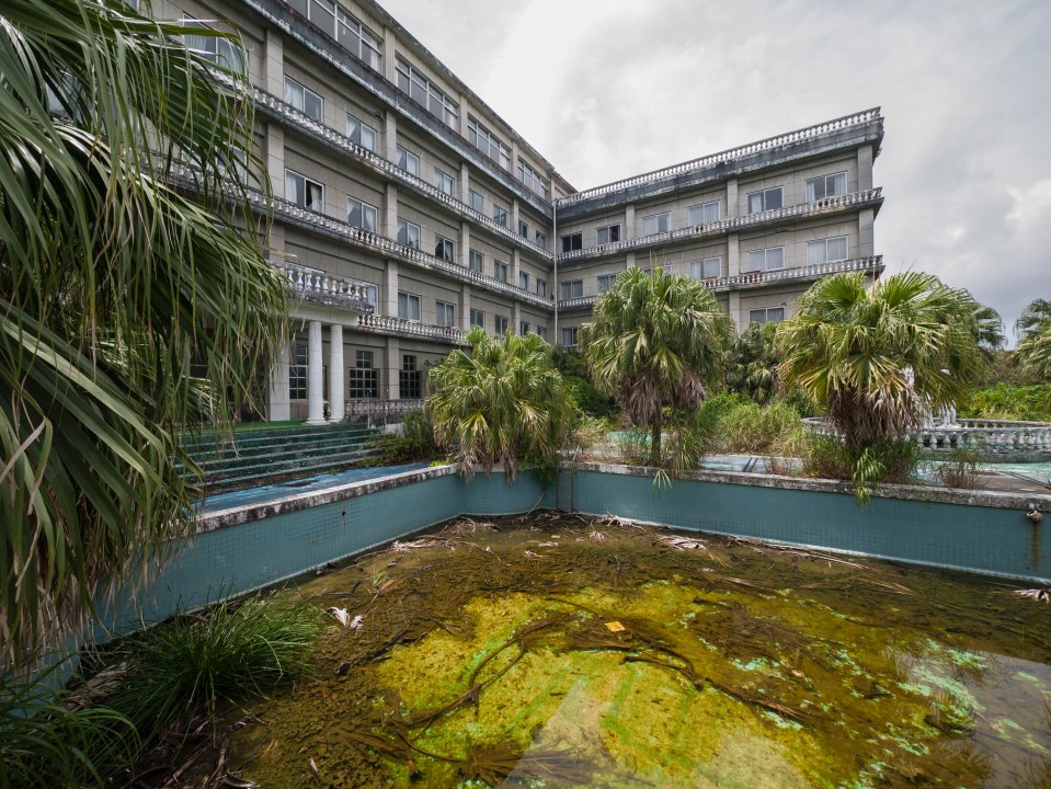 A pool lies covered in moss after almost two decades without maintenance