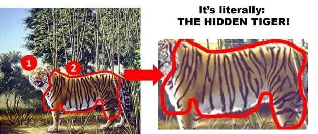 There's the answer, it's the words "The hidden tiger"