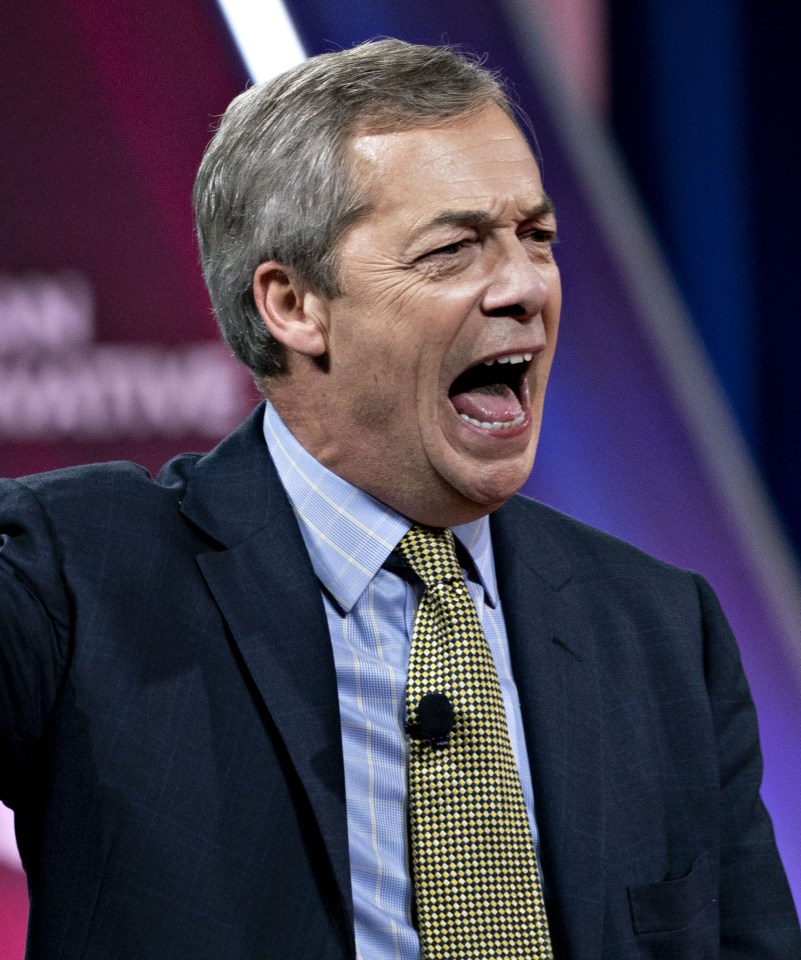 Brexit Party leader Nigel Farage was convinced to sign up for I'm A Celebrity