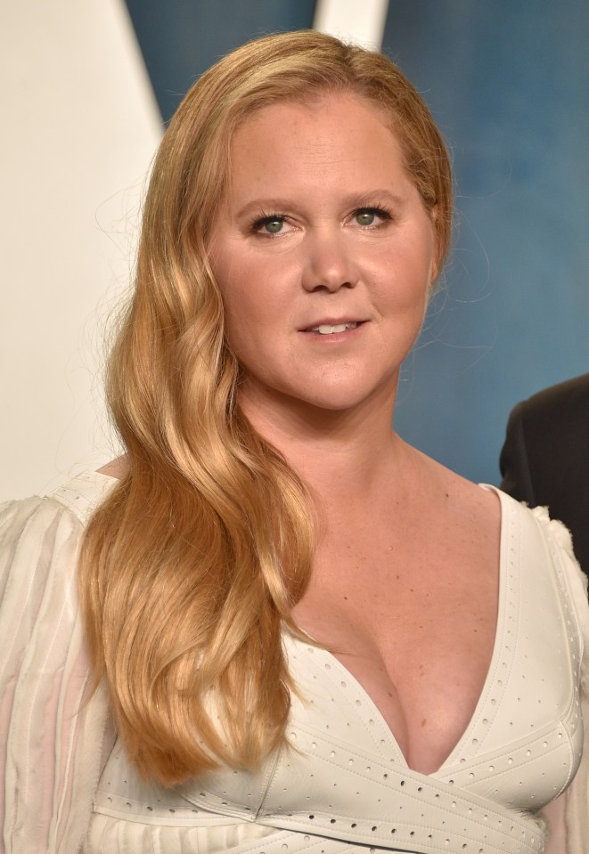 Amy Schumer was also present on the call set up by TikTok executives to discuss concerns of antisemitism