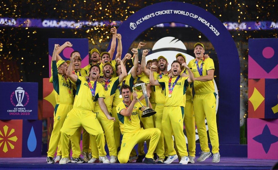 Australia won the World Cup by beating India in the final