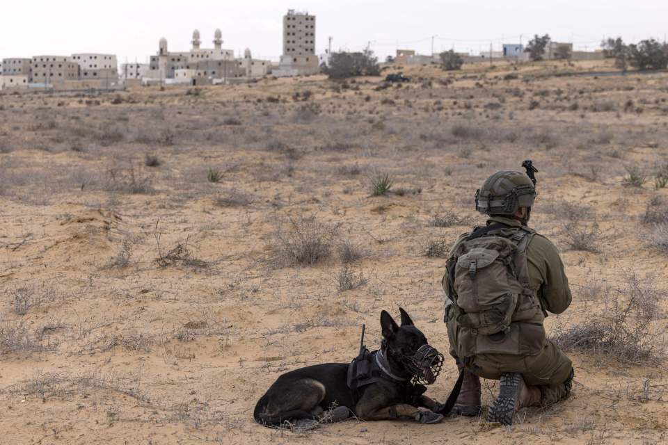 An Israeli  soldier part of a K-9 unit takes part in a drill at an army urban warfare training facility in January