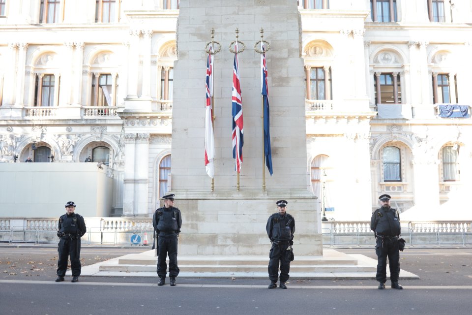 The memorable day has been clouded by protesters descending onto London