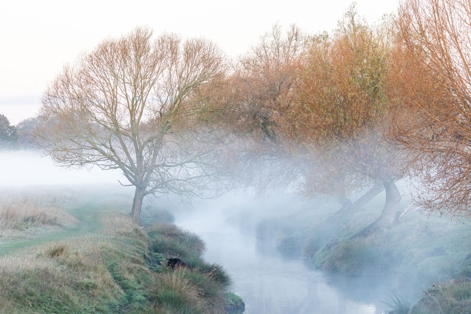 A misty morning in Richmond Park, south-west London, where there will be lows of -1C