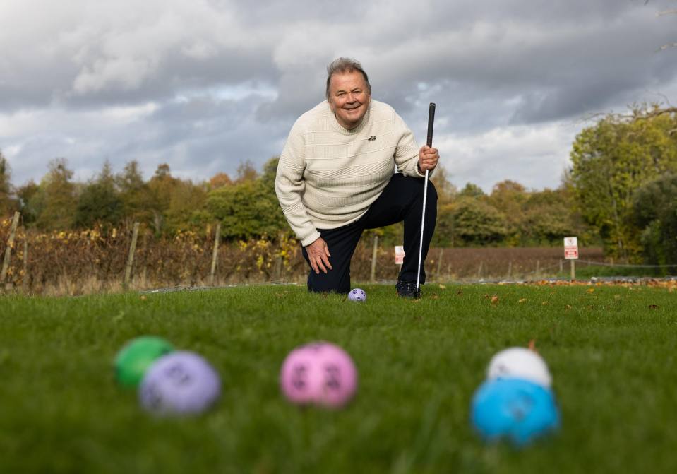 David now plans to design a crazy golf course in his garden