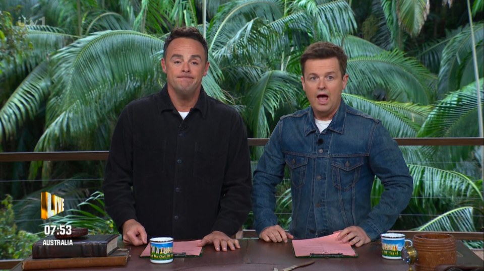 Ant and Dec have made some digs about right-wing politics