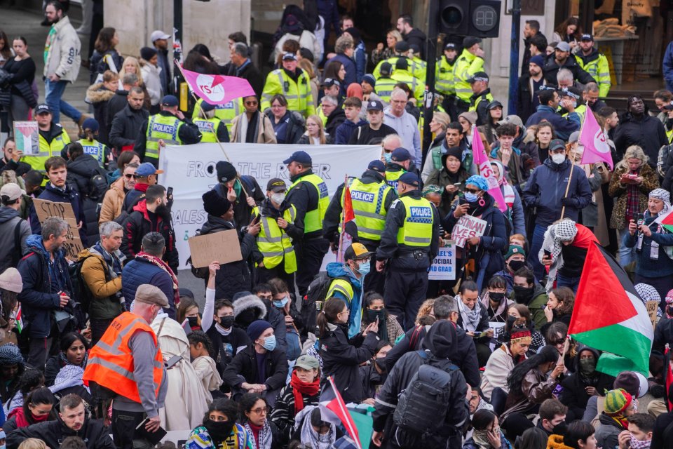 Cops clash with protesters in Oxford Circus