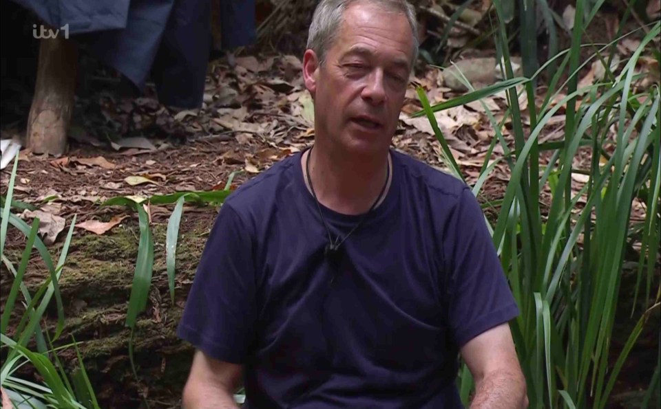 He directed his wrath towards former UKIP leader Nigel Farage in the jungle