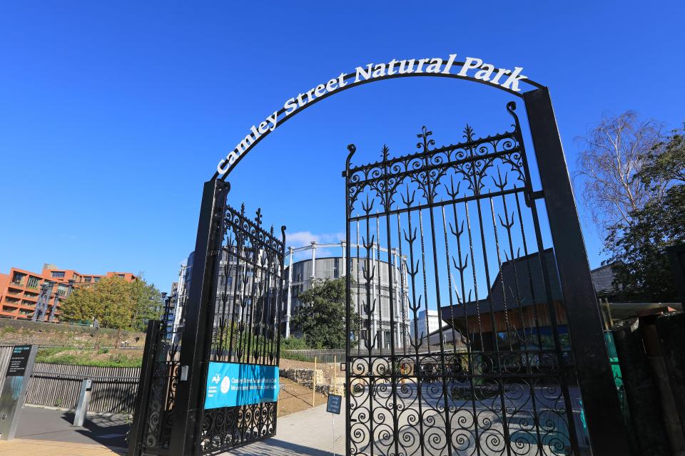 Camley Street Natural Park is set on the banks of Regent's Canal