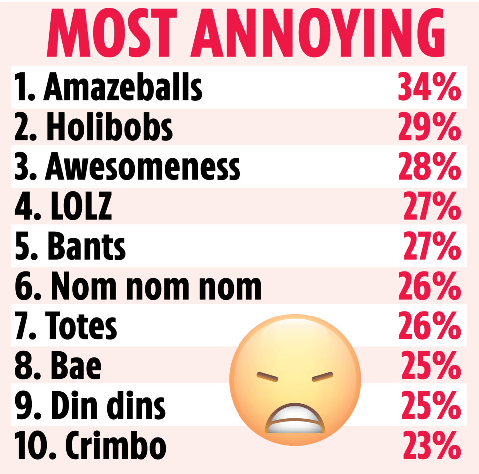 The full list of the top ten most annoying terms