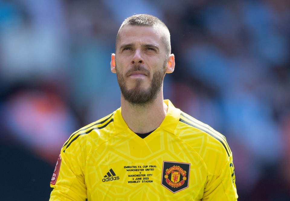 Lee Sharpe believes letting David de Gea go was a mistake