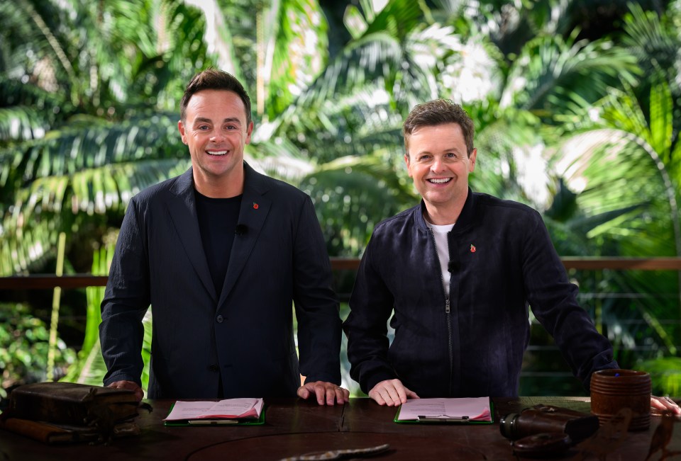 Ant and Dec will return to our screens to host the new series on November 19