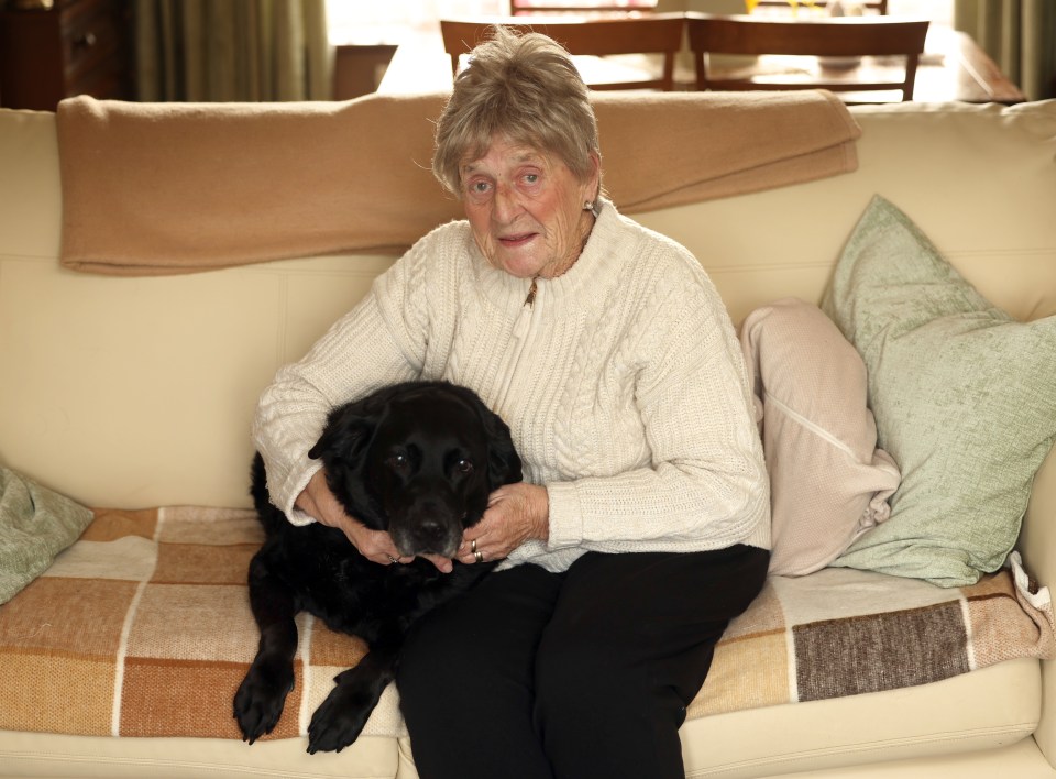 Pensioner Nora Hutchinson was hurt after bullies pounced on her pet Lucky