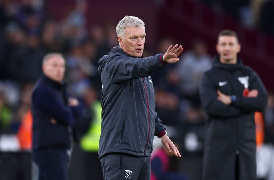 Fans have called Still their 'dream' successor to David Moyes