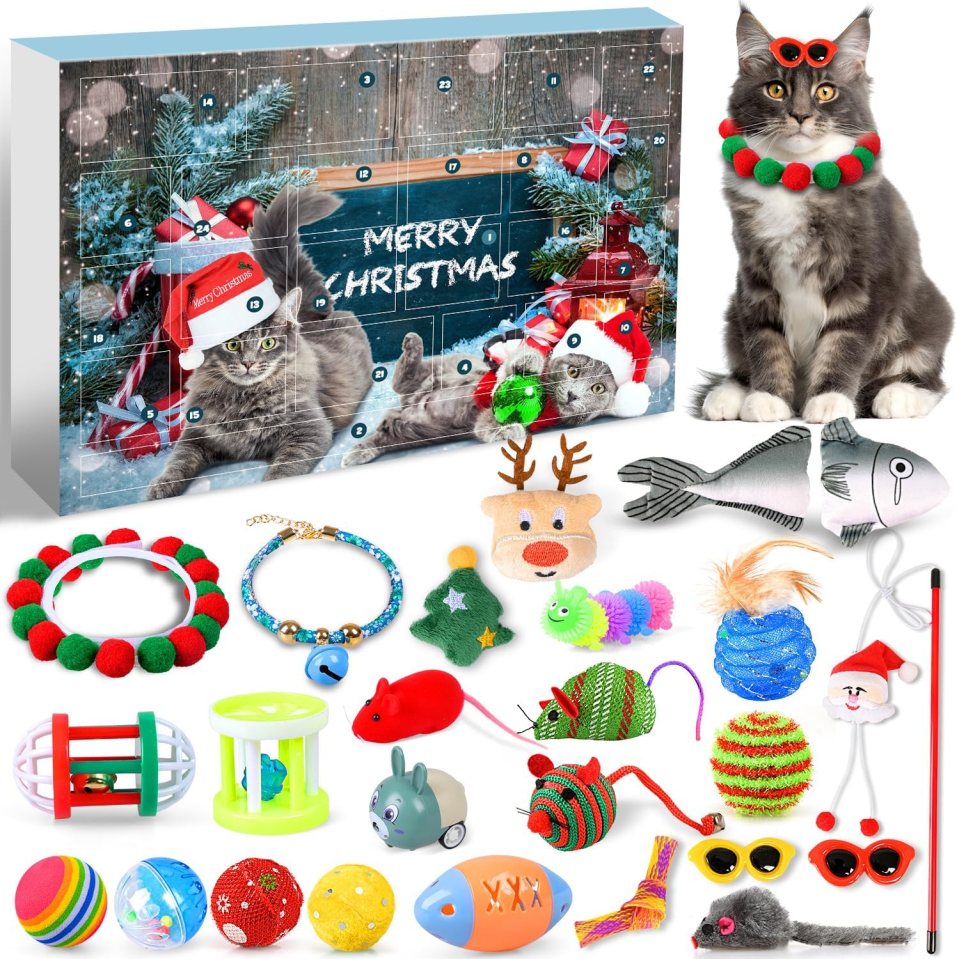 iZoeL Advent Calendar For Cats