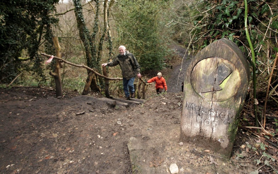 Moseley Bog, which is now a nature reserve, was said to have inspired Fangorn Forest and the Old Forest in Lord of the Rings