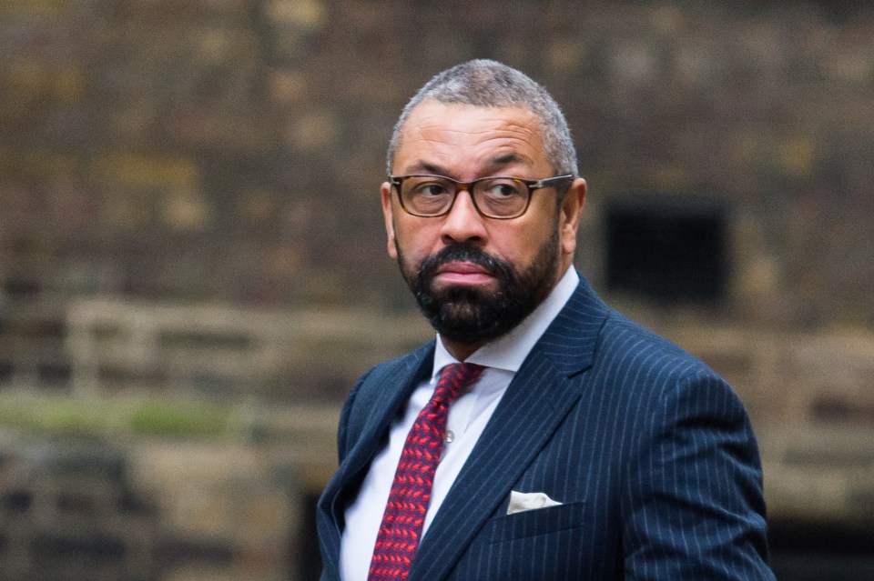 Home Secretary James Cleverly apologised for using "unparliamentary language"