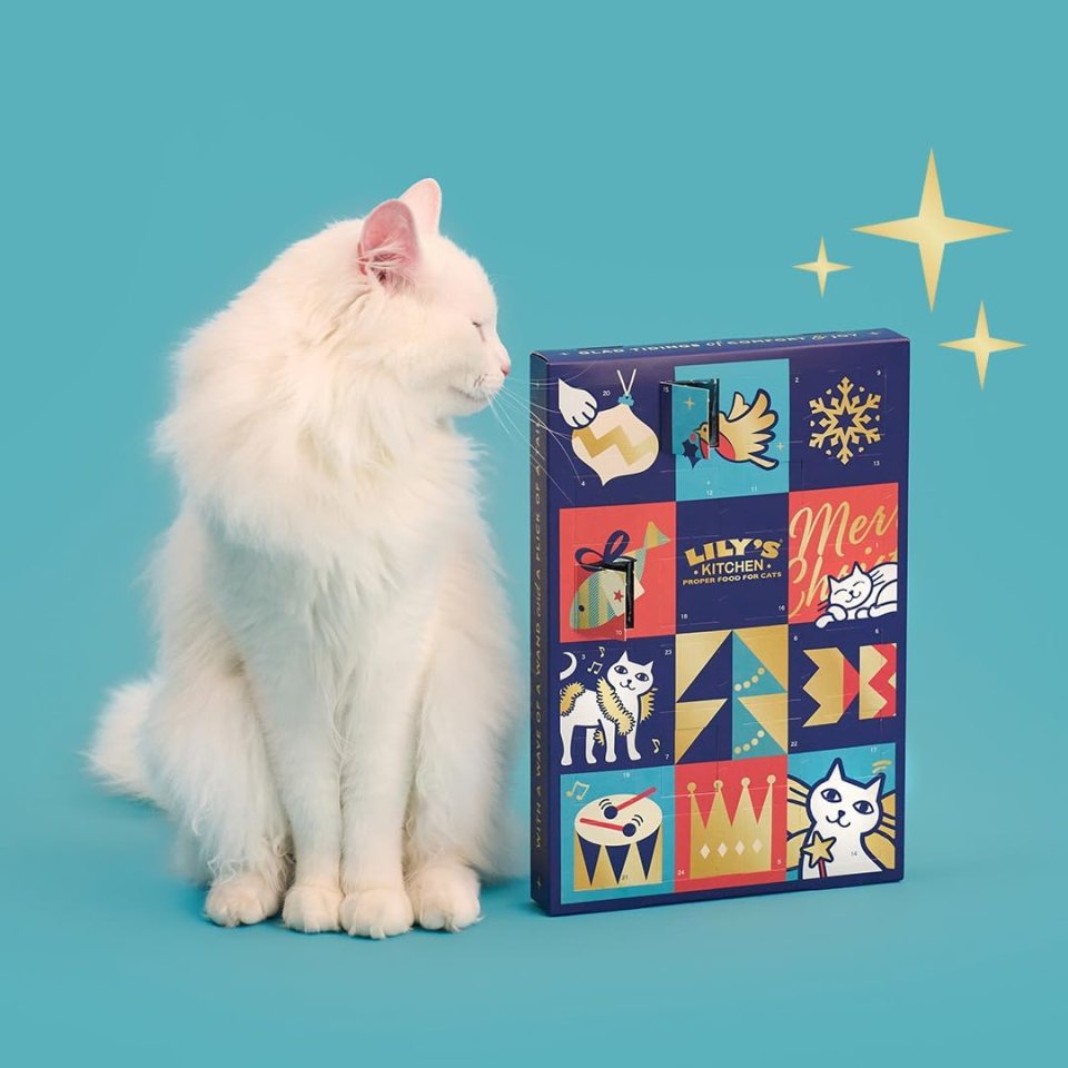 This cat advent calendar from Lily's Kitchen has two types of cat treat inside