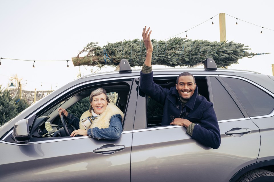 Transporting the tree tied down on roof racks is the safest way to move it