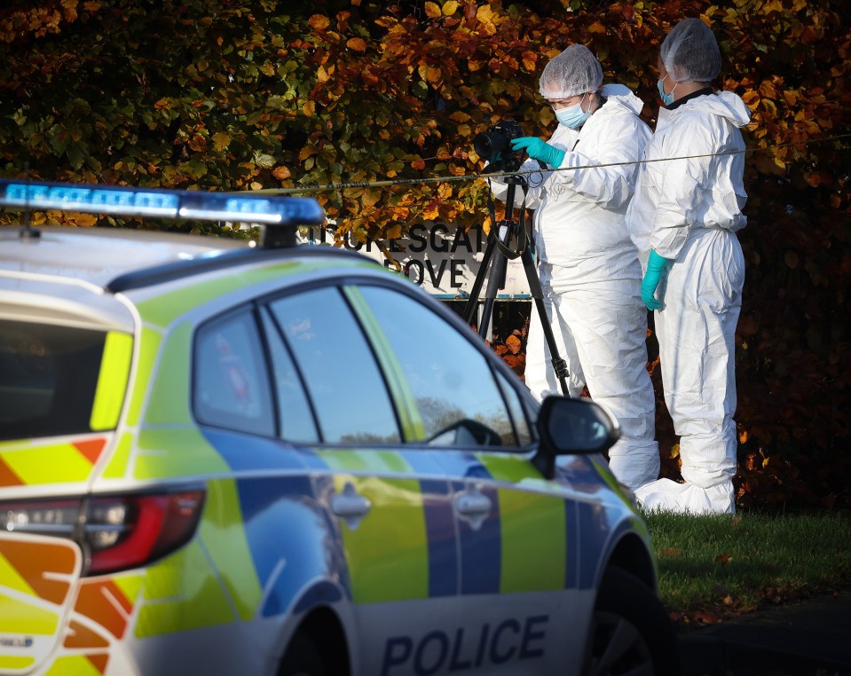 Images from the scene show two blue and white forensics tents with overall-clad teams combing the site