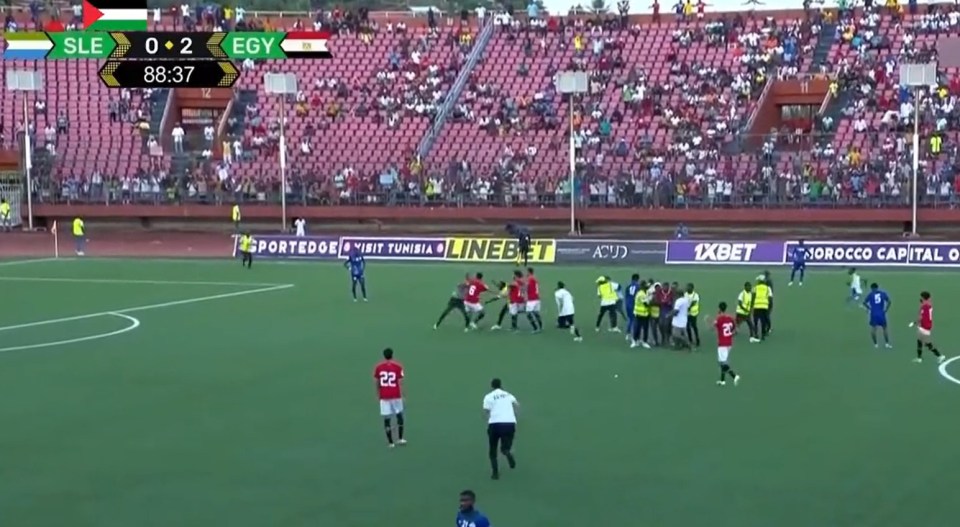 Punches were thrown in chaotic scenes during Egypt's win over Sierra Leone