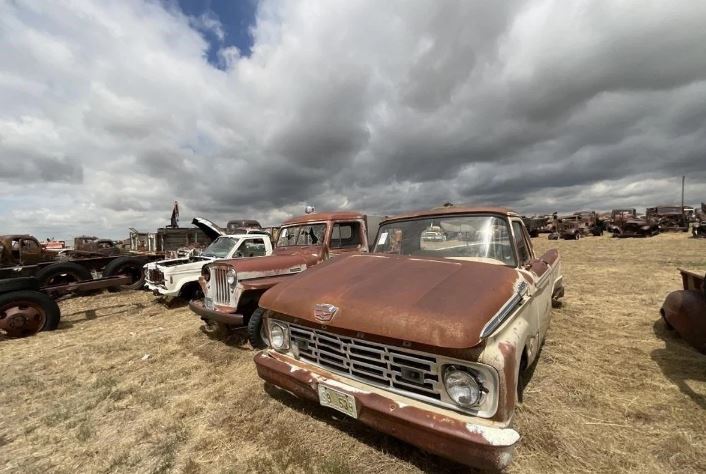 Vintage cars as well as motors have been stashed on the open plains