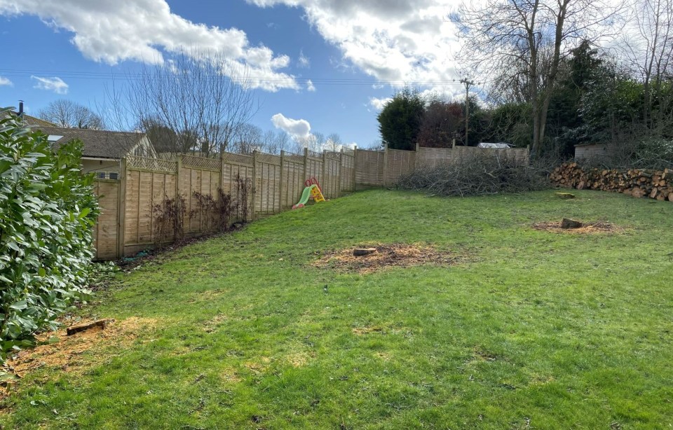 Elmagdoub's back garden where the apple trees were felled