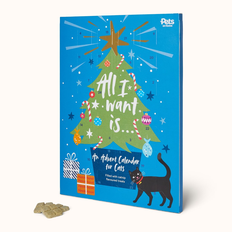 Pets At Home Advent Calendar For Cats