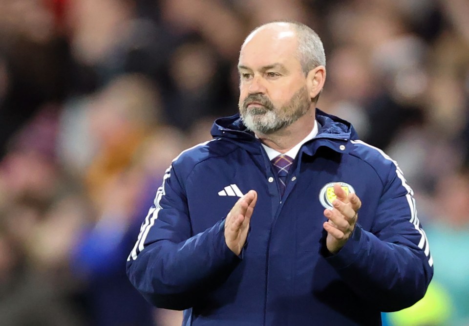 Scotland boss Steve Clarke