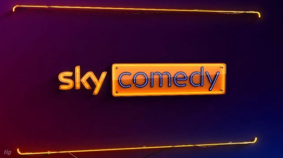 Sky has axed a comedy show after just one series, it's leading actress has confirmed