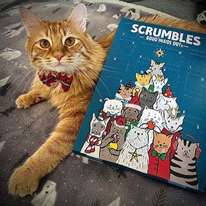 Scrumbles Advent Calendar For Cats