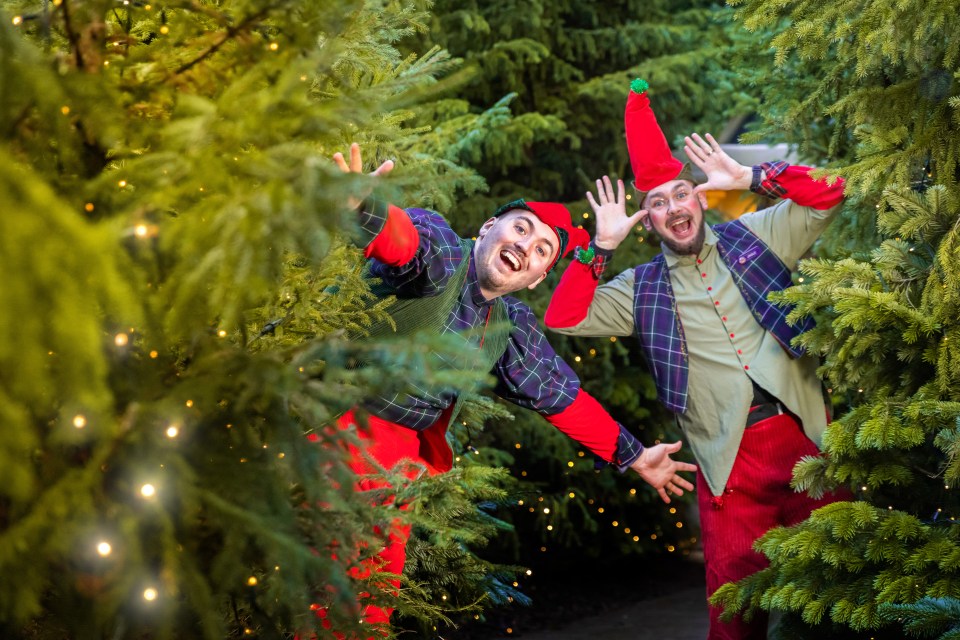 A new Christmas show will be taking place at Alton Towers