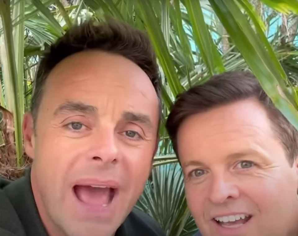 Hosts Ant and Dec are back hosting the new series