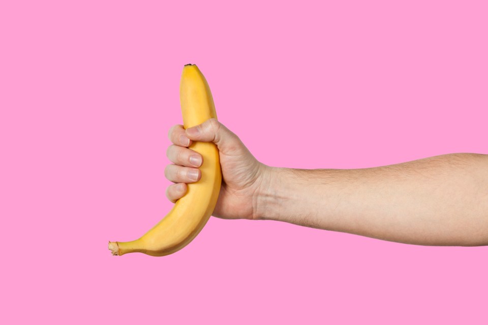 The banana-shaped penis curves to the left or right