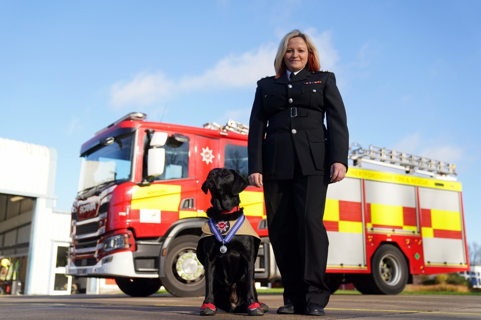 Reqs, pictured with Nikki Harvey, was the longest-serving fire dog in the UK when he retired earlier this year after 11 years