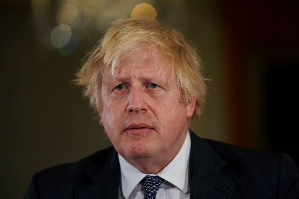 Boris Johnson asked Britain's chief doctor if sticking a blowdryer up your nose could help cure covid, according to Dominic Cummings